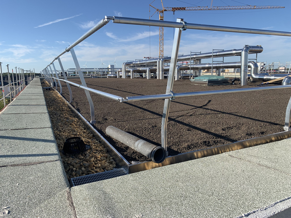 Bild aus dem Jahr 19. September 2025, Dachbegrünung